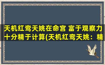 天机红鸾天姚在命宫 富于观察力十分精于计算(天机红鸾天姚：精于计算，观察力超群，数学天才！)